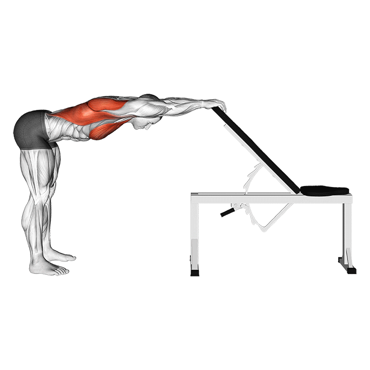 растяжка груди со спины