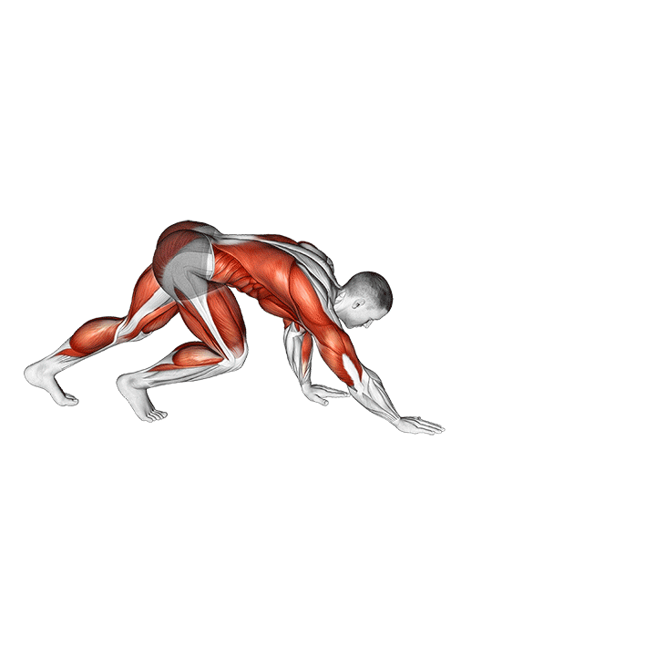 Удержание планки "медведь"