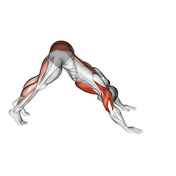 отжимание «пайк-кобра»