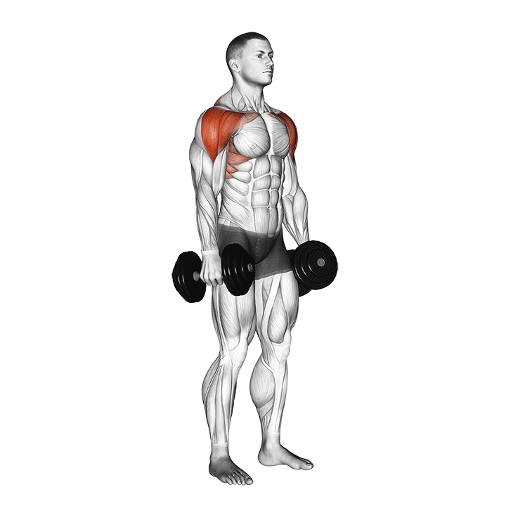 hantel lateral to front raise
