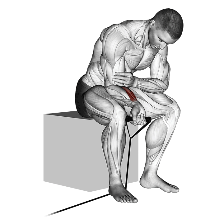 Widerstandsband-Handgelenkcurl