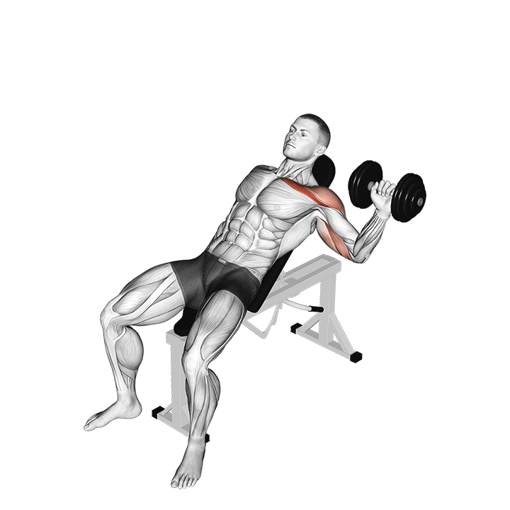 dumbbell one arm incline chest press