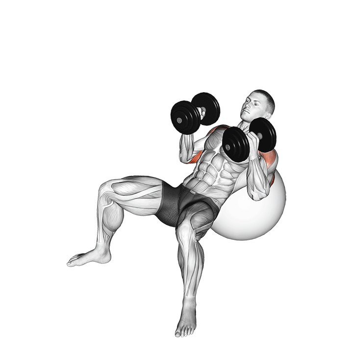 dumbbell incline hammer press on exercise ball