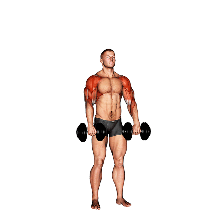 wyciskanie Cuban z hantlami v. 2