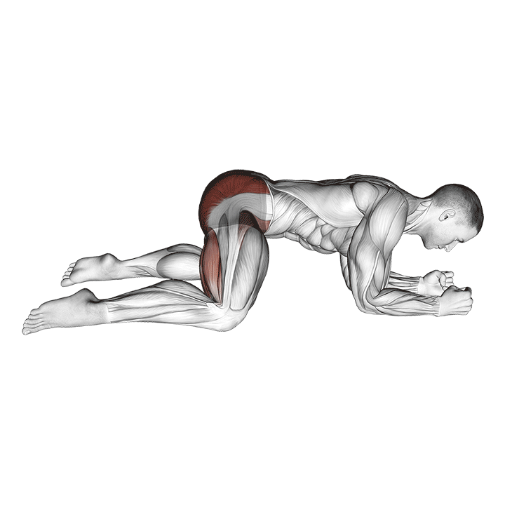 étirement dynamique de la grenouille