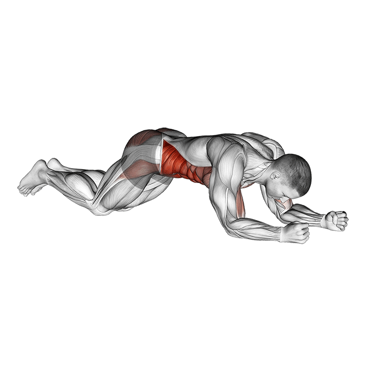 kneeling plank tap shoulder (male)