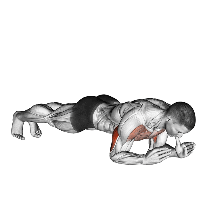 Демонстрация подъем туловища