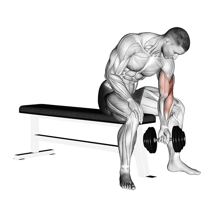 Демонстрация сгибание гантели на бицепс в упоре