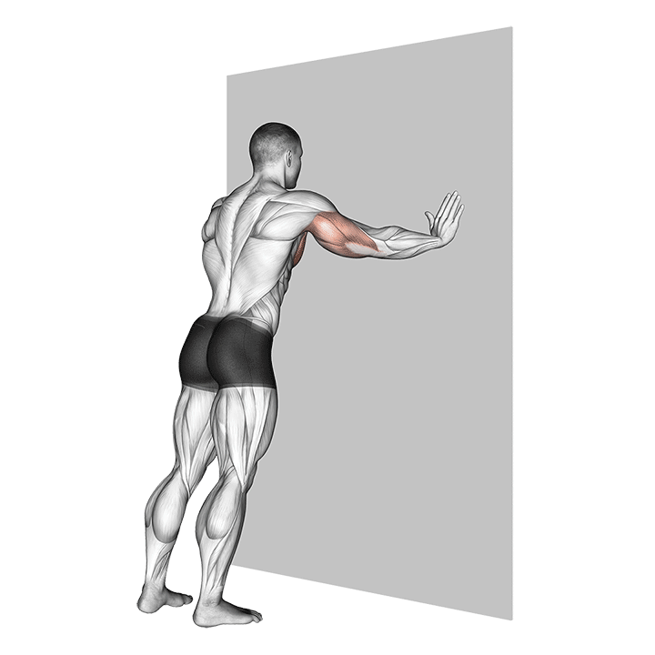 Демонстрация отжимание у стены вариант 2