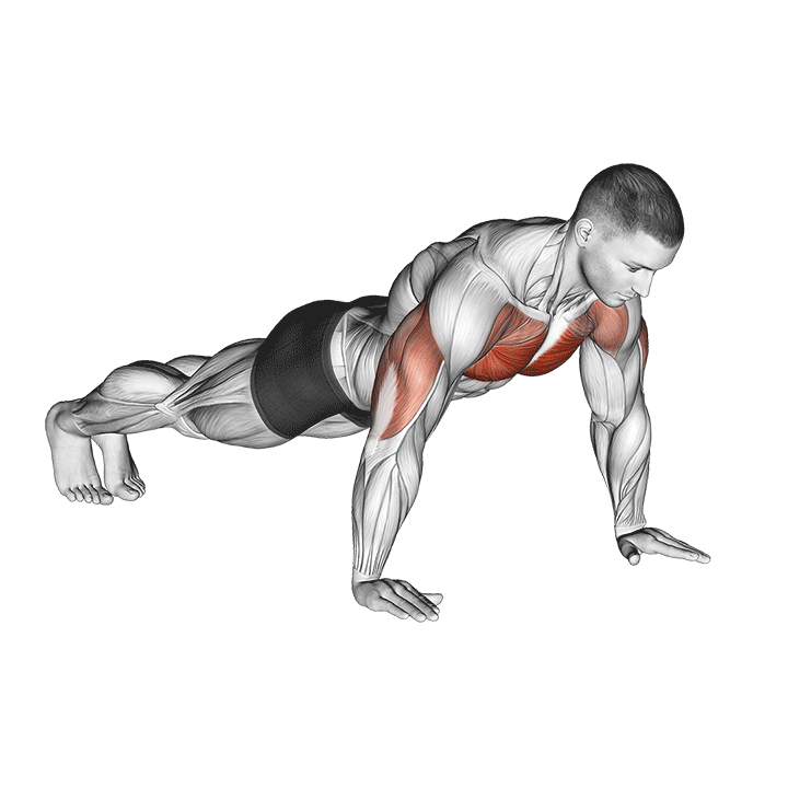 push-up exercise demonstration