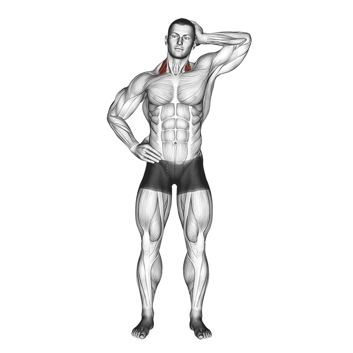 Демонстрация боковое надавливание на растяжку шеи