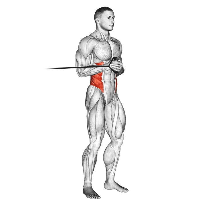 Демонстрация палофф-жим горизонтальный с эспандером