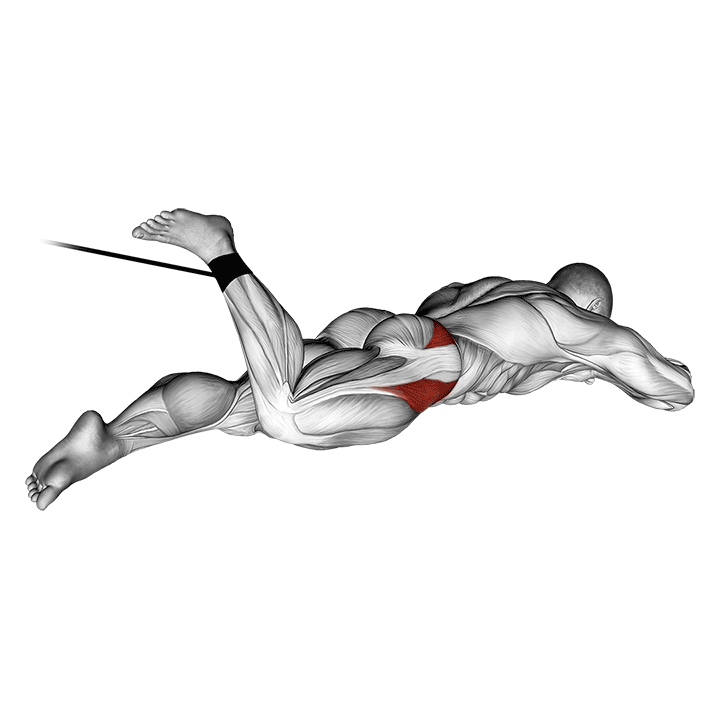 Демонстрация внутренняя ротация бедра лёжа с эспандером