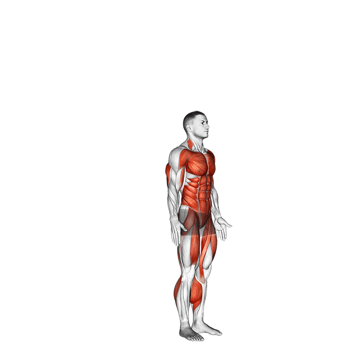 Демонстрация Бёрпи