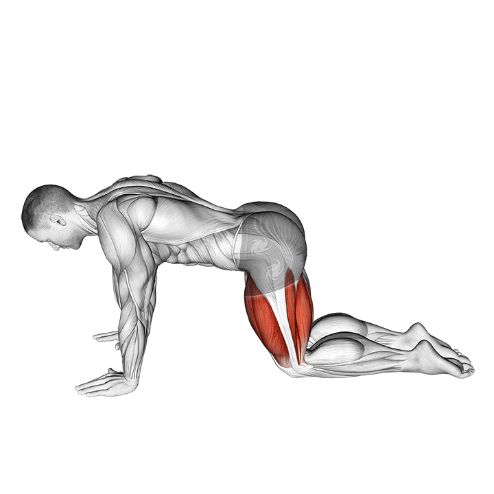 Демонстрация All Fours Squad Stretch