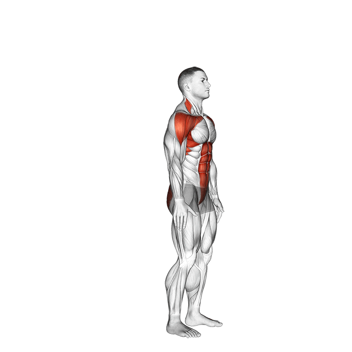 Демонстрация задний выпад с подъемом рук