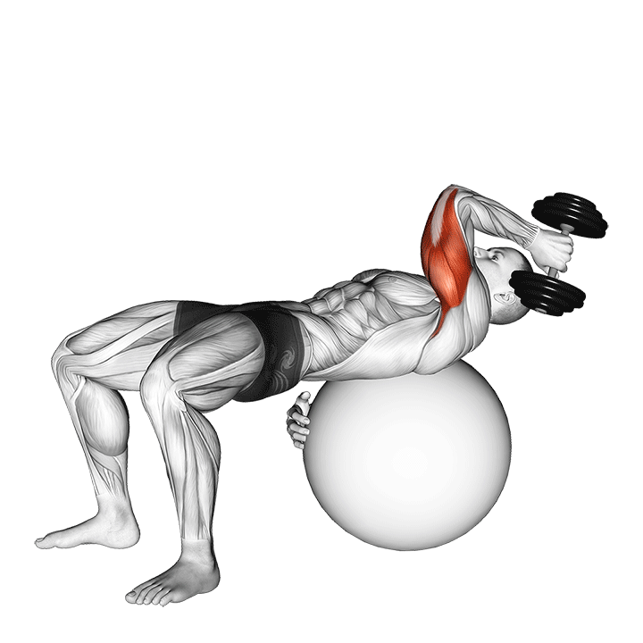 Демонстрация французский жим гантели на фитболе (одна рука)