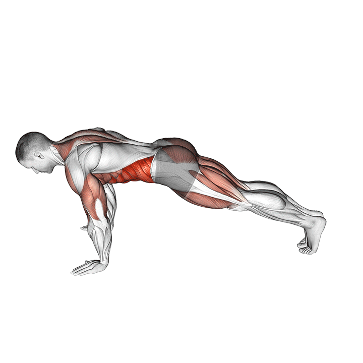 Демонстрация паук (вариант 2)